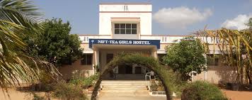NIFT TEA College of Knitwear Fashion niftea